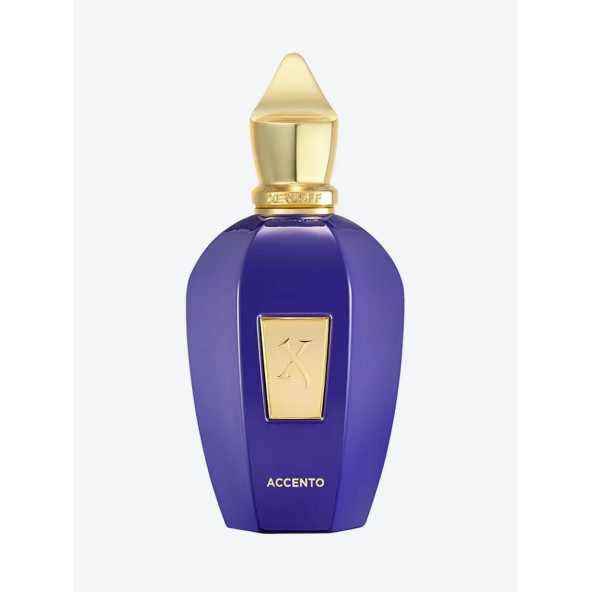 Xerjoff V Accento 100 ml EDP Unisex Parfüm - 2