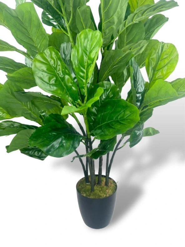 Nettenevime Yapay Ağaç Keman Yapraklı Kavuçuk Yeşil Salon Bitkisi Siyah Saksıda 140cm - Resim 2