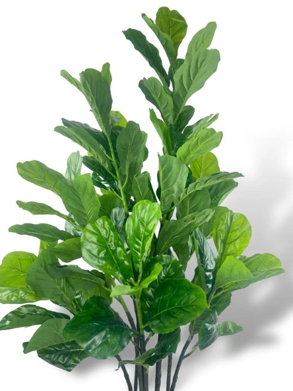 Nettenevime Yapay Ağaç Keman Yapraklı Kavuçuk Yeşil Salon Bitkisi Siyah Saksıda 140cm - Resim 4