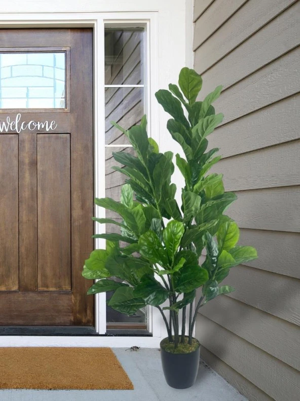 Nettenevime Yapay Ağaç Keman Yapraklı Kavuçuk Yeşil Salon Bitkisi Siyah Saksıda 140cm - Resim 6