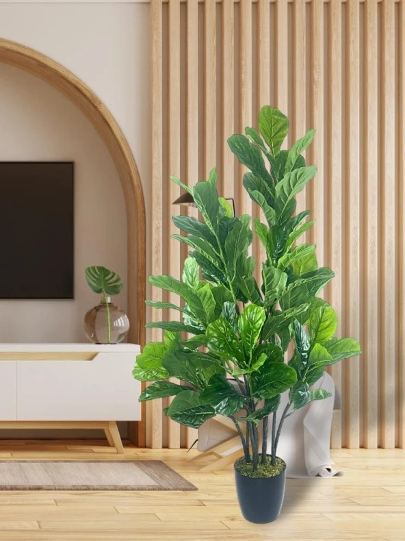 Nettenevime Yapay Ağaç Keman Yapraklı Kavuçuk Yeşil Salon Bitkisi Siyah Saksıda 140cm - Resim 7