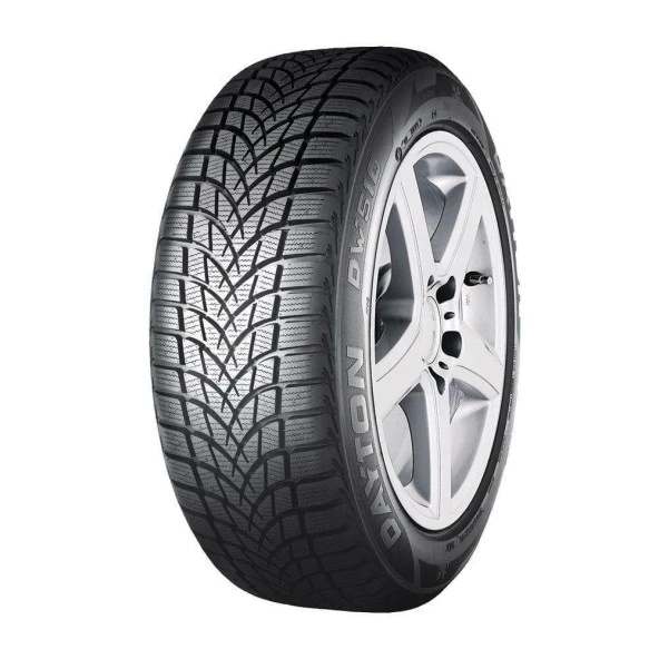 Dayton DW510 Evo 205/55 R16 91H Kış Lastiği - 2024