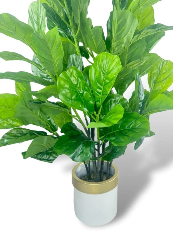 Nettenevime Yapay Ağaç Keman Yapraklı Kavuçuk Yeşil Salon Bitkisi Beyaz Gold Galvaniz Saksıda 140cm - 4