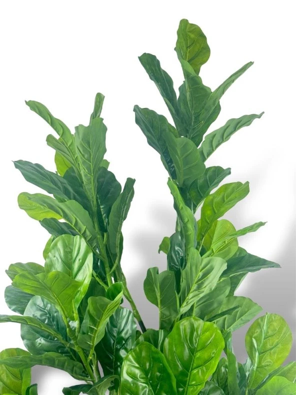 Nettenevime Yapay Ağaç Keman Yapraklı Kavuçuk Yeşil Salon Bitkisi Beyaz Gold Galvaniz Saksıda 140cm - 5