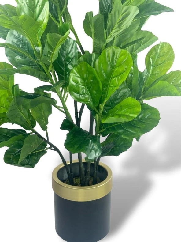 Nettenevime Yapay Ağaç Keman Yapraklı Kavuçuk Yeşil Salon Bitkisi Siyah Gold Galvaniz Saksıda 140cm - Resim 4