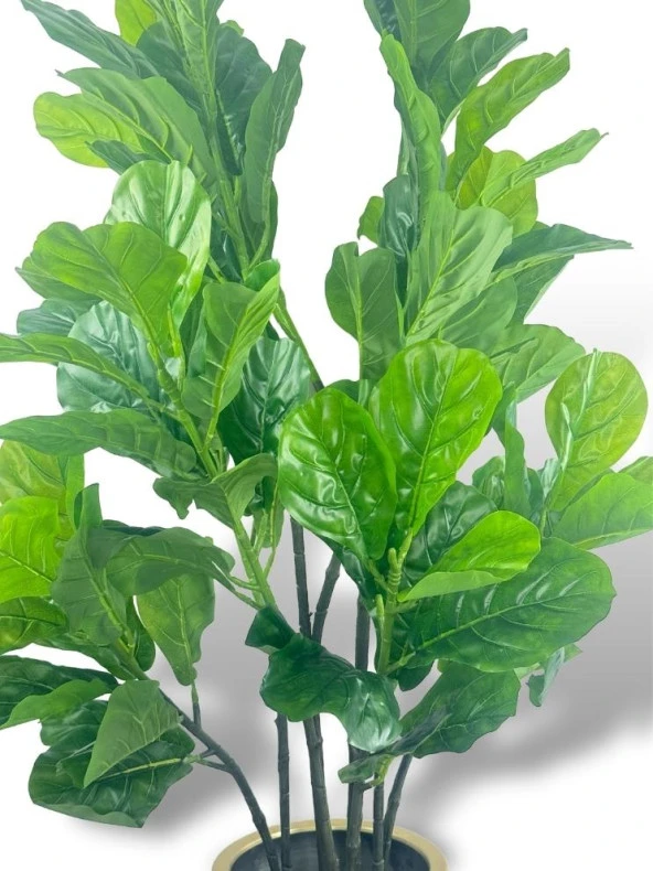 Nettenevime Yapay Ağaç Keman Yapraklı Kavuçuk Yeşil Salon Bitkisi Siyah Gold Galvaniz Saksıda 140cm - Resim 6