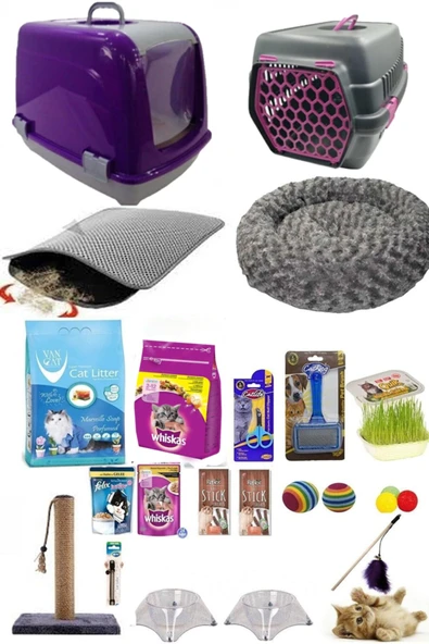 20 Parça Kedi Başlangıç Seti Mor