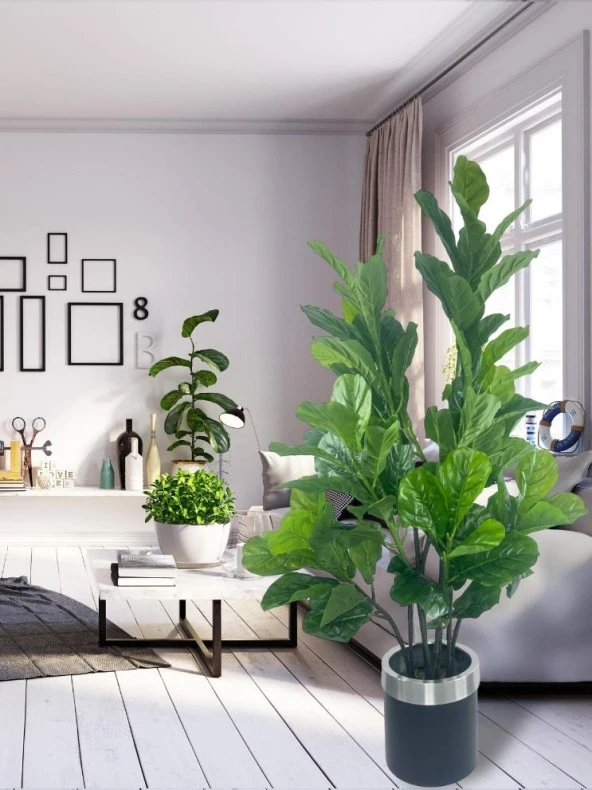 Nettenevime Yapay Ağaç Keman Yapraklı Kavuçuk Yeşil Salon Bitkisi Siyah Gümüş Galvaniz Saksıda 140cm - 4
