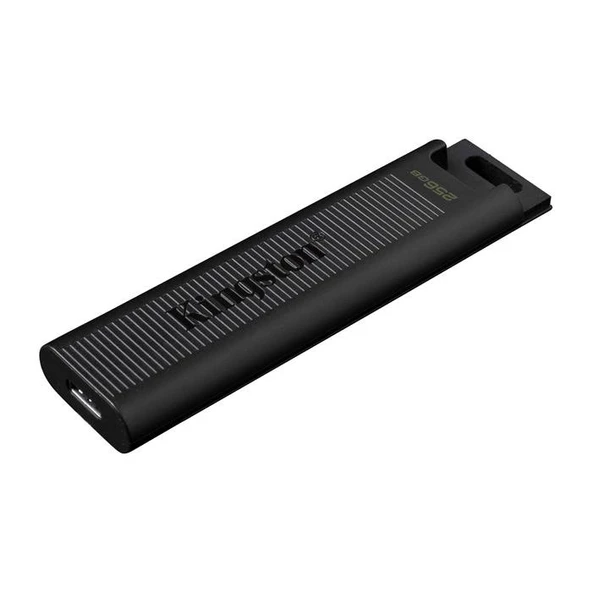 Kingston 256G DTMax Usb3.2 Gen2 Type-C DTMAX/256GB ürün görseli 1