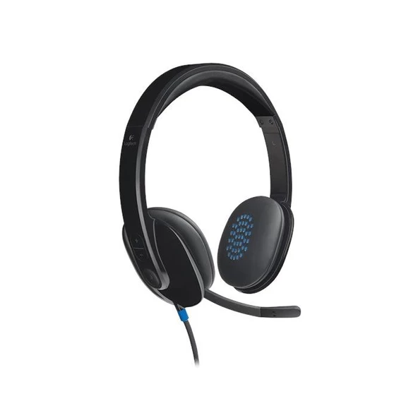 Logitech 981-000480 H540 USB Kulaküstü Kulaklık