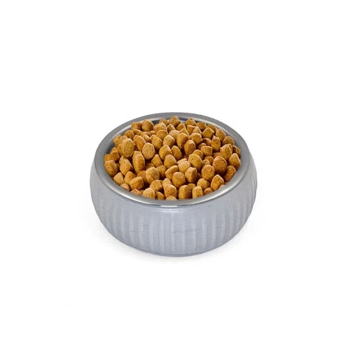 Mikopet Organik Seramik Mama Kabı Gri - 2