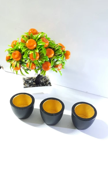 Periboia 3 lü Sukulent Saksı - Siyah Gold Kaktüs Saksı Beton Çiçek Saksısı