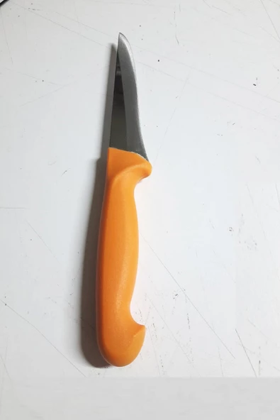 Periboia Plastik Saplı 26 cm Kurban Bıçağı Yemek Mutfak Bıçağı No.1 - 3