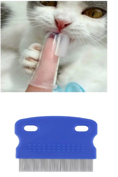 Periboia 2 Li Set Kedi Köpek Tavşan İçin Parmağa Takılan Diş Fırçası - İnce Dişli Bit Pire Tarağı - 2