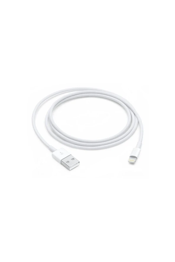 Lityum Teknoloji Iphone Uyumlu Şarj Aleti Kablosu 1m Lightning Usb Kablosu