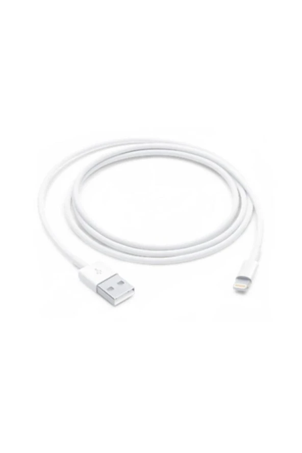 Lityum Teknoloji Iphone Uyumlu Lightning Şarj Kablosu 1 Mt