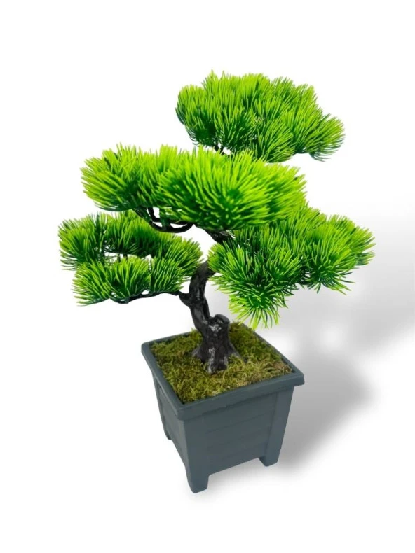 Nettenevime Bonsai Dekoratif Yapay Ağaç Yeşil Bonzai 39*25 CM Siyah Kare Saksıda - Resim 7