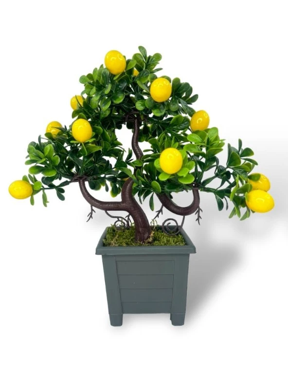Nettenevime Bonsai Limon Ağacı Dekoratif Yapay Ağaç Yeşil Bonzai 28*23 CM Siyah Kare Saksıda ürün görseli