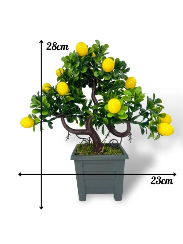 Nettenevime Bonsai Limon Ağacı Dekoratif Yapay Ağaç Yeşil Bonzai 28*23 CM Siyah Kare Saksıda - Resim 2