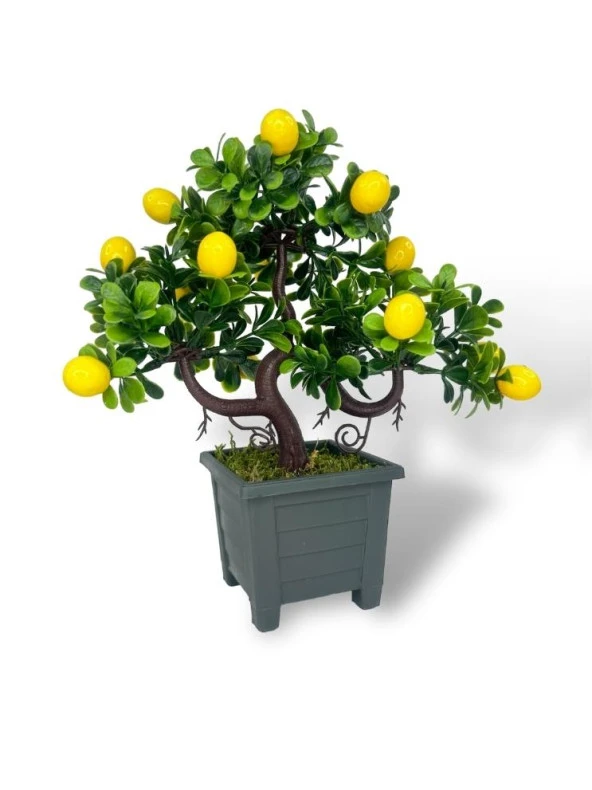 Nettenevime Bonsai Limon Ağacı Dekoratif Yapay Ağaç Yeşil Bonzai 28*23 CM Siyah Kare Saksıda - Resim 6