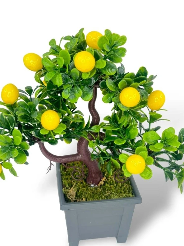Nettenevime Bonsai Limon Ağacı Dekoratif Yapay Ağaç Yeşil Bonzai 28*23 CM Siyah Kare Saksıda - Resim 7