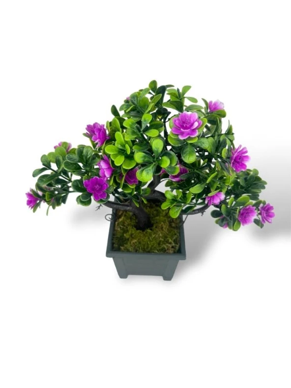 Nettenevime Yapay Çiçek Lila Çiçekli Bonsai Ağacı Dekoratif Yapay Ağaç Bonzai 29*24 CM Siyah Kare Saksıda - Resim 4