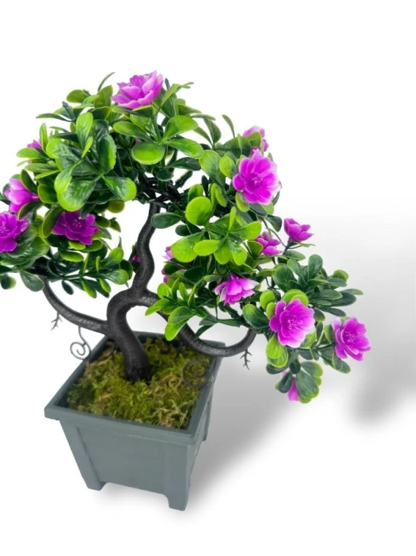 Nettenevime Yapay Çiçek Lila Çiçekli Bonsai Ağacı Dekoratif Yapay Ağaç Bonzai 29*24 CM Siyah Kare Saksıda - Resim 7
