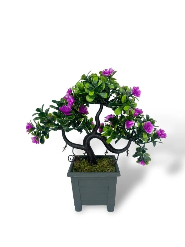 Nettenevime Yapay Çiçek Lila Çiçekli Bonsai Ağacı Dekoratif Yapay Ağaç Bonzai 29*24 CM Siyah Kare Saksıda - Resim 8