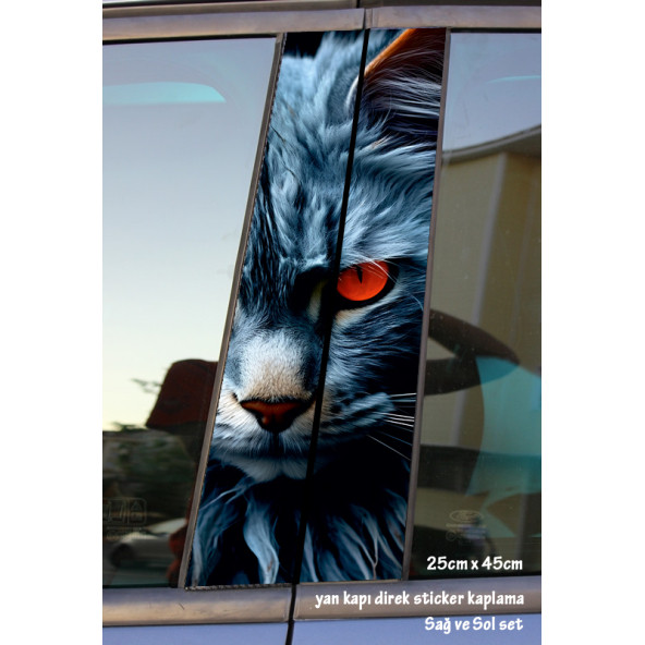 kedinin gözleri - yan kapı direk kaplama folyosu - 2 adet sol sağ sticker set