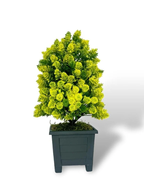 Nettenevime Yapay Çiçek Bonsai Ağacı Sarı Kozalak Model Dekoratif Yapay Ağaç Bonzai 30*15 CM Siyah Kare Saksıda - 2