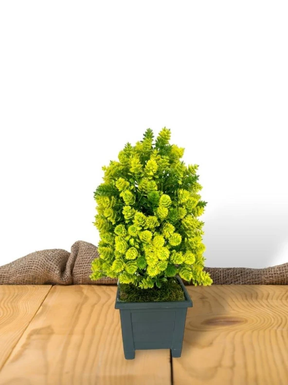 Nettenevime Yapay Çiçek Bonsai Ağacı Sarı Kozalak Model Dekoratif Yapay Ağaç Bonzai 30*15 CM Siyah Kare Saksıda - 4