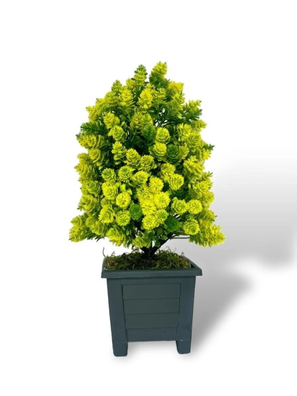 Nettenevime Yapay Çiçek Bonsai Ağacı Sarı Kozalak Model Dekoratif Yapay Ağaç Bonzai 30*15 CM Siyah Kare Saksıda - 6