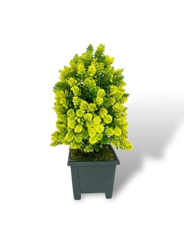 Nettenevime Yapay Çiçek Bonsai Ağacı Sarı Kozalak Model Dekoratif Yapay Ağaç Bonzai 30*15 CM Siyah Kare Saksıda - 7