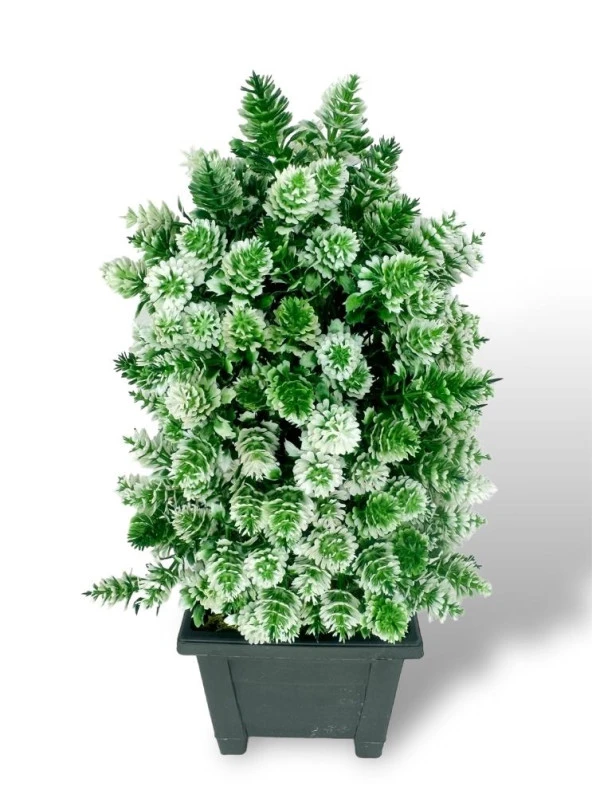 Yapay Çiçek Bonsai Ağacı Beyaz Kozalak Model Dekoratif Yapay Ağaç Bonzai 30*15 CM Siyah Kare Saksıda
