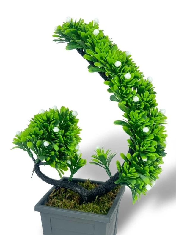 Yapay Çiçek Bonsai Ağacı Beyaz Eğik Model Dekoratif Yapay Ağaç Bonzai 30*22 CM Siyah Kare Saksıda - 5