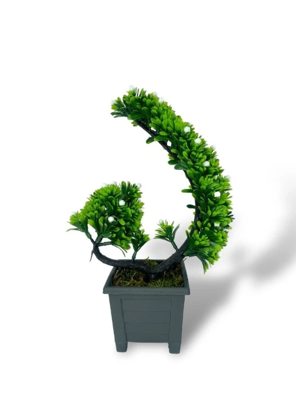 Yapay Çiçek Bonsai Ağacı Beyaz Eğik Model Dekoratif Yapay Ağaç Bonzai 30*22 CM Siyah Kare Saksıda - 6