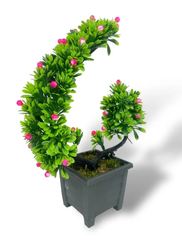 Nettenevime Yapay Çiçek Bonsai Ağacı Pembe Eğik Model Dekoratif Yapay Ağaç Bonzai 30*22 CM Siyah Kare Saksıda - Resim 6