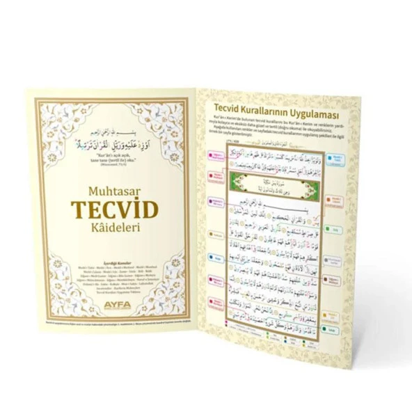 Ayfa Muhtasar Tecvid Kaideleri Tecvid Öğreniyorum Kartelası
