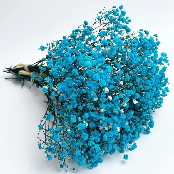 Nettenevime Kuru Çiçek Doğal CİVİT MAVİ Cipso 50gram 1. Kalite Şoklanmış Bozulmaz ürün görseli 1