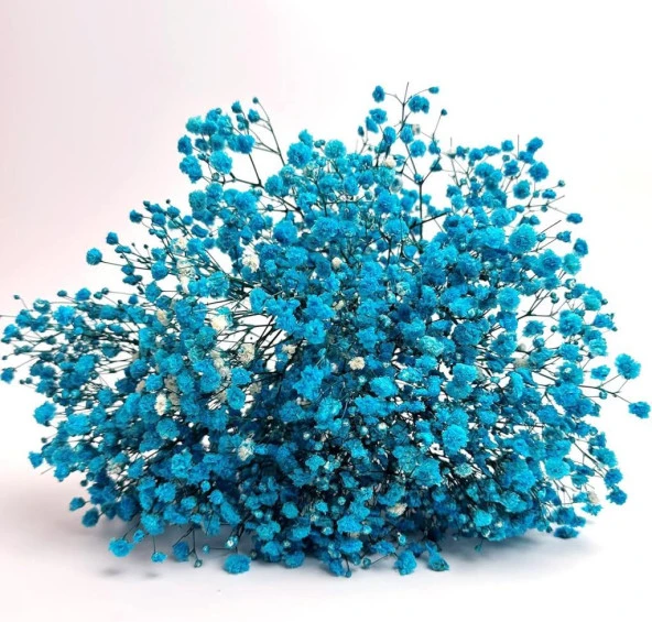 Nettenevime Kuru Çiçek Doğal CİVİT MAVİ Cipso 50gram 1. Kalite Şoklanmış Bozulmaz - Resim 3