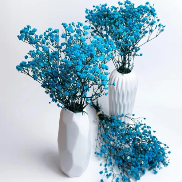 Nettenevime Kuru Çiçek Doğal CİVİT MAVİ Cipso 50gram 1. Kalite Şoklanmış Bozulmaz - Resim 5