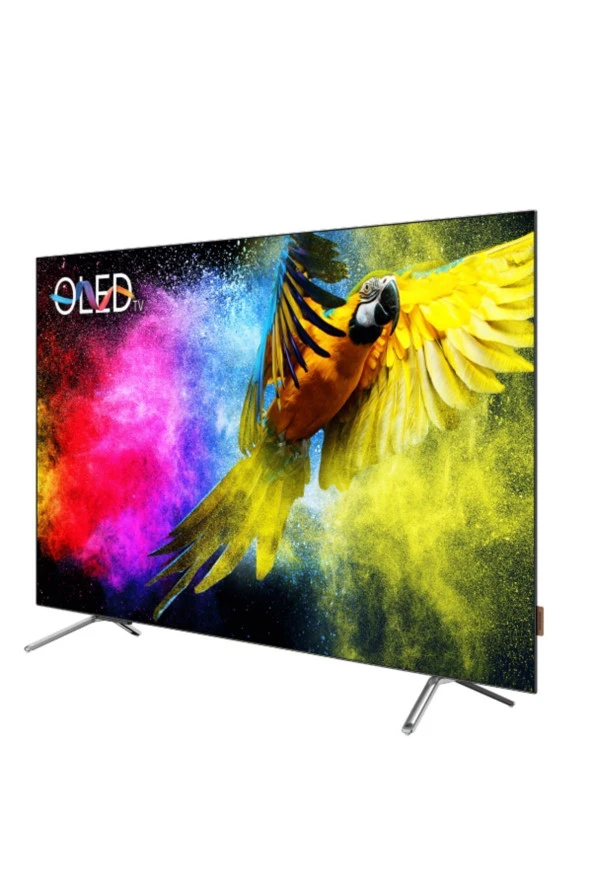 65GHO9700 65inc 164 cm 4K UHD Google Smart OLED TV,Uydu Alıcılı - 2