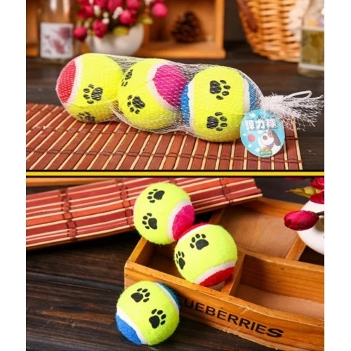 Periboia At Getir Köpek Eğitim Topu - 2