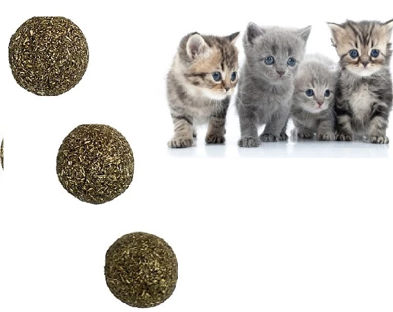 Periboia Kedi Nanesi Topu 3 Adet 2.5 cm Nepeta cataria