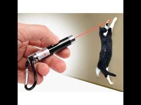 Periboia 4 Yedek Başlıklı Pilli Kedi Oyuncağı Lazer Anahtarlık