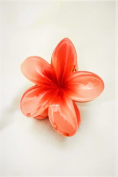 Periboia Narçiçeği Lotus Çiçek Parlak Akrilik Kadın Vintage Mandal Toka - 3