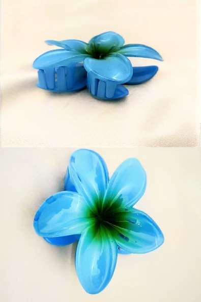 Periboia Mavi Lotus Çiçek Parlak Akrilik Kadın Vintage Mandal Toka - 3