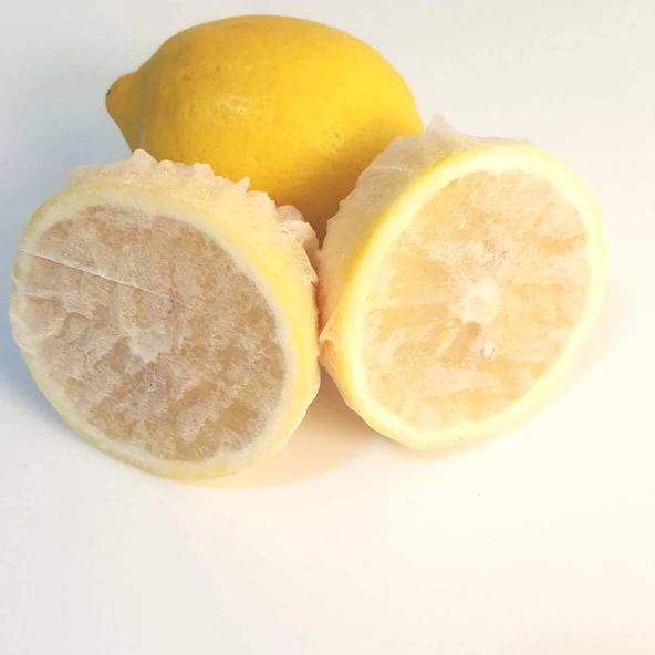 Periboia Limon Bonesi / 10 Adet / Bitki Çayı Bonesi