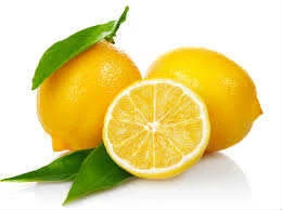 Periboia Limon Bonesi / 500 Adet / Bitki Çayı Bonesi - 2
