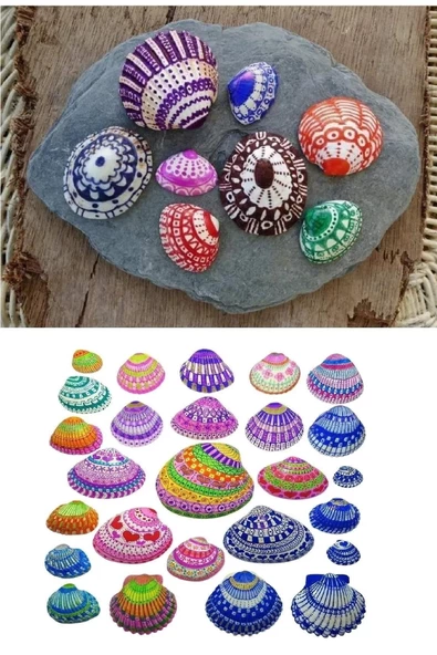 Periboia Kabuk Boyama Seti- Deniz Kabuğu Boyama -Shell Painting -Sanatsal Hobi Boyama Seti - 3